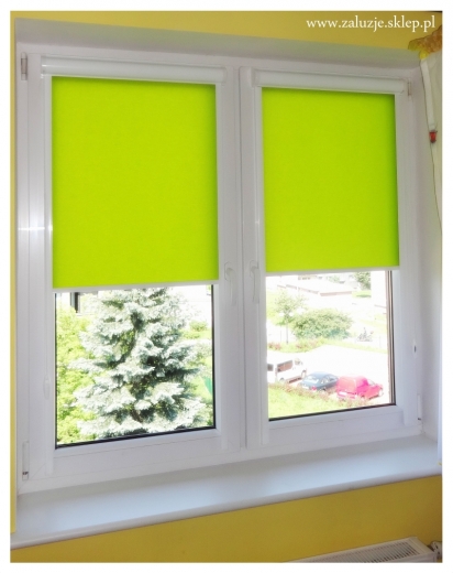 Zielone rolety okienne w pełnej zabudowie